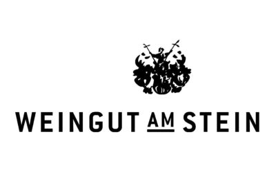 REINIGUNGSKRAFT FÜR WEINGUT, GÄSTEHAUS & VINOTHEK (M | W | D)