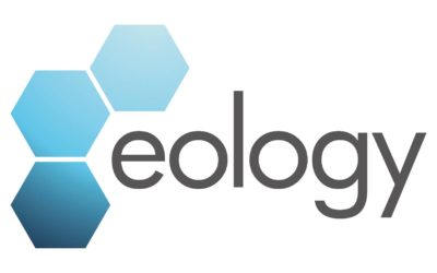 SEO Expert (m/w/x)