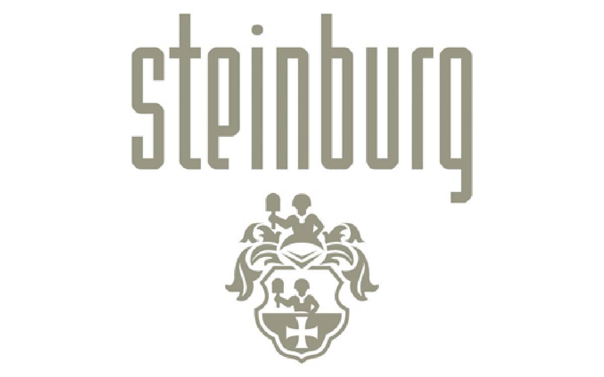 Steinburg Logo Jobs on Air